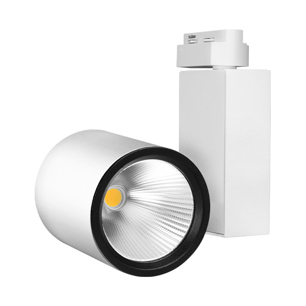 BRY-PD-30W-COB-BELI-6500K-MONOFAZNI-ŠINSKI REFLEKTOR