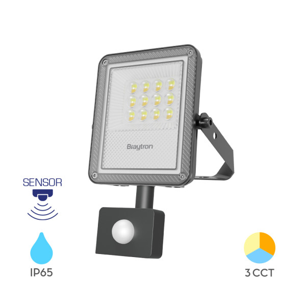 BRY-FLOOD-PF-10W-SIVI-3U1-SNS-IP65-LED REFLEKTOR